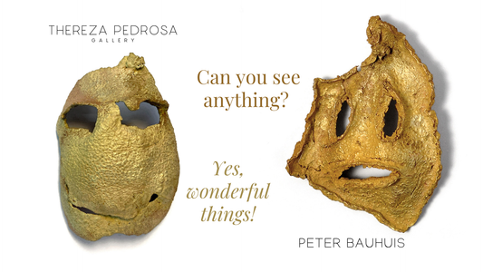 Can you see anything? Yes, wonderful things | Peter Bauhuis