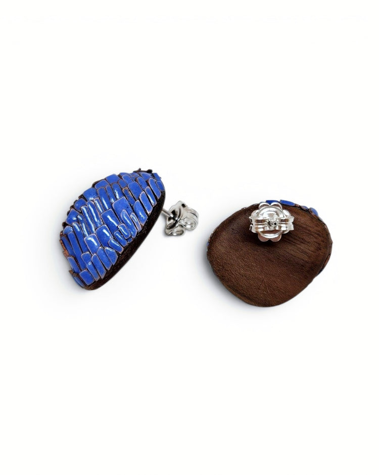 Enamelled earrings (No.4)